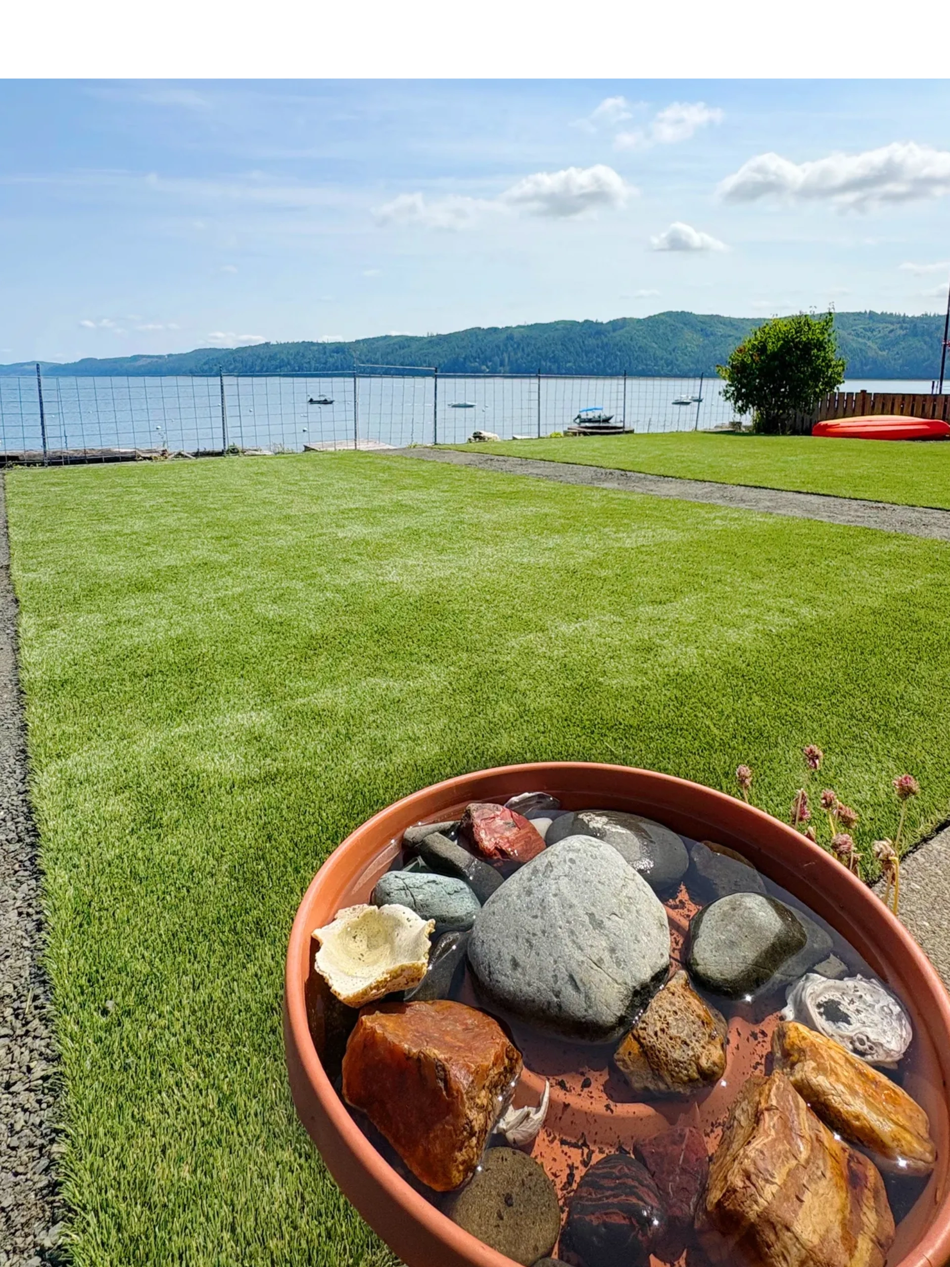 Fresh sod lawn installation — green grass residential backyard